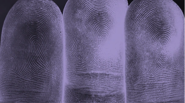 Violet fingerprint artwork